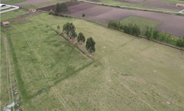 VENDO TERRENO 10,000 M2 PAMPA DE ANTA CUSCO PERU