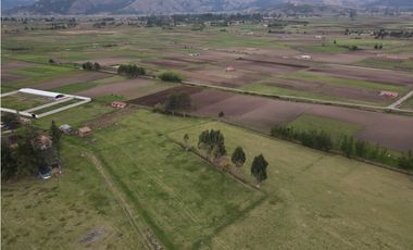VENDO TERRENO 10,000 M2 PAMPA DE ANTA CUSCO PERU