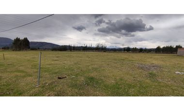 VENDO TERRENO 10,000 M2 PAMPA DE ANTA CUSCO PERU