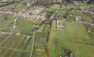 VENDO TERRENO 10,000 M2 PAMPA DE ANTA CUSCO PERU
