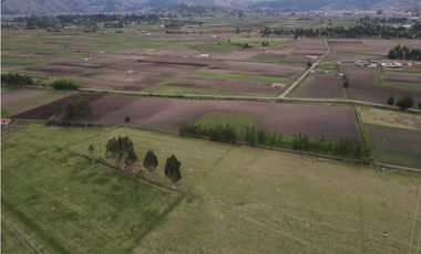 VENDO TERRENO 10,000 M2 PAMPA DE ANTA CUSCO PERU