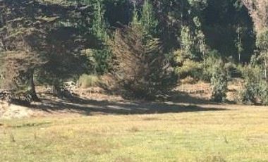 Sitio en Venta en La Chacra