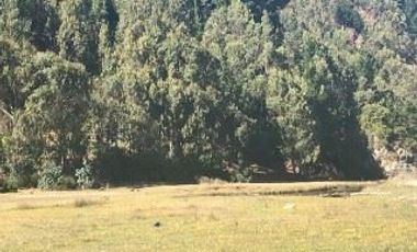 Sitio en Venta en La Chacra