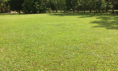 TERRENO RÚSTICO EN VENTA. Boquerón 1a Secc.