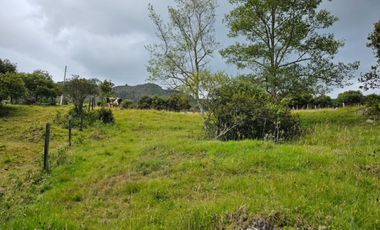 finca en venta en sin barrio. Cod V8715586