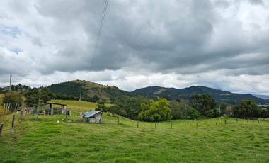 finca en venta en sin barrio. Cod V8715586