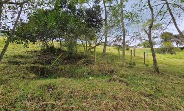 finca en venta en sin barrio. Cod V8715586