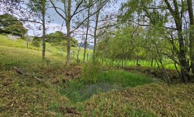 finca en venta en sin barrio. Cod V8715586