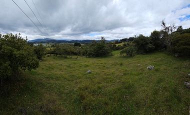 finca en venta en sin barrio. Cod V8715586