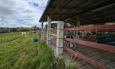 finca en venta en sin barrio. Cod V8715586