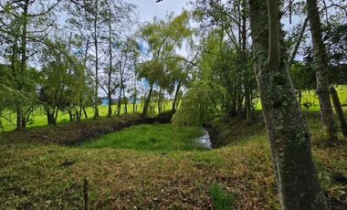 finca en venta en sin barrio. Cod V8715586