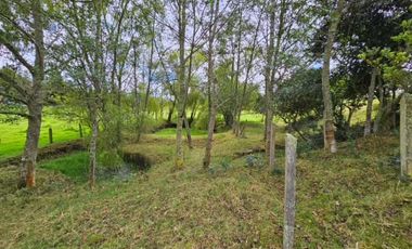 finca en venta en sin barrio. Cod V8715586