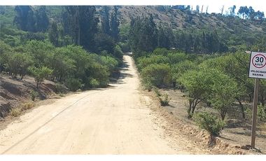 COLLIGUAY    PARCELA