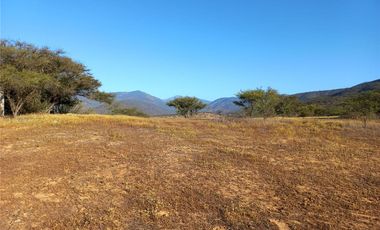 COLLIGUAY    PARCELA