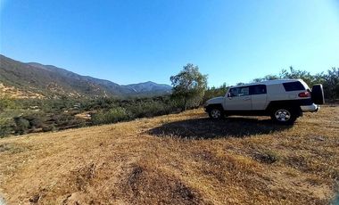 COLLIGUAY    PARCELA