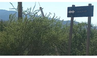 COLLIGUAY    PARCELA