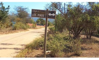 COLLIGUAY    PARCELA