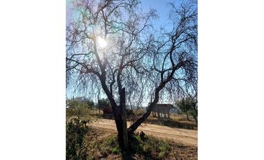 COLLIGUAY    PARCELA