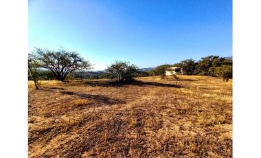 COLLIGUAY    PARCELA