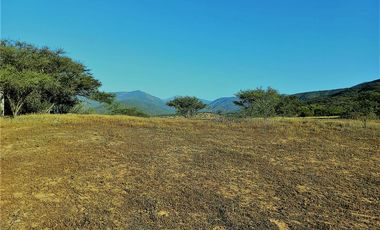 COLLIGUAY    PARCELA