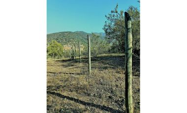 COLLIGUAY    PARCELA