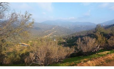 COLLIGUAY    PARCELA