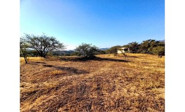 COLLIGUAY    PARCELA