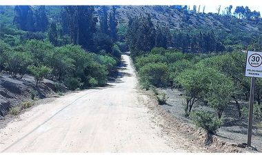 COLLIGUAY    PARCELA