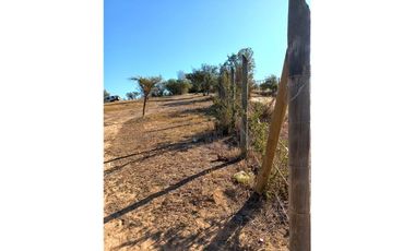 COLLIGUAY    PARCELA