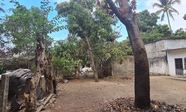 VENDO TERRENO EN ACAPULCO COL. SAN ISIDRO SOBRE CARRETERA NAL. IDEAL PARA BODEGA