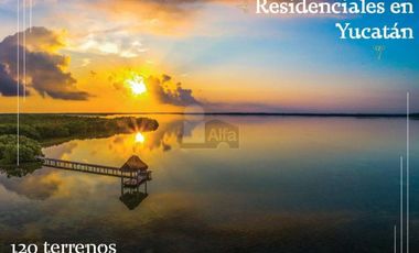 Terrenos Residenciales en Yucatán