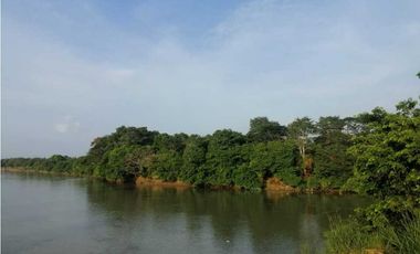 VENTA DE FINCA EN GARZÓNES, MONTERIA