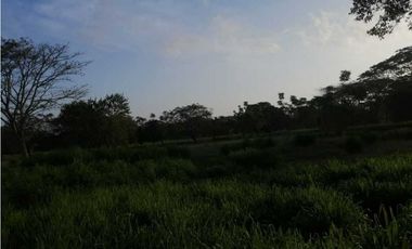 VENTA DE FINCA EN GARZÓNES, MONTERIA