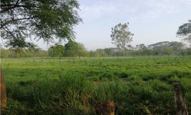 VENTA DE FINCA EN GARZÓNES, MONTERIA