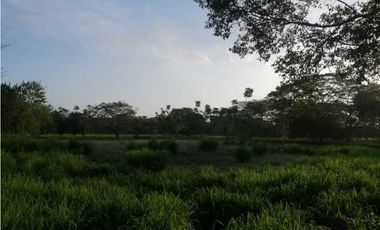VENTA DE FINCA EN GARZÓNES, MONTERIA
