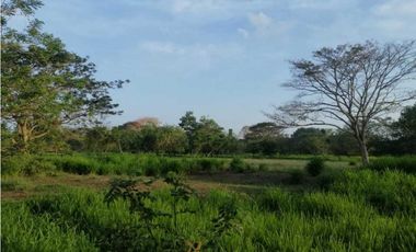VENTA DE FINCA EN GARZÓNES, MONTERIA