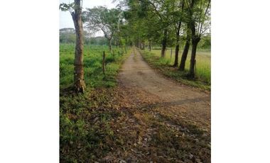 VENTA DE FINCA EN GARZÓNES, MONTERIA