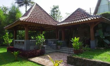 Villa Lama Tanah Luas Siap Pakai Lokasi Desa Citeko Cisarua Puncak Kabupaten Bogor