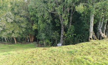 Sitio en Venta en Campo El Melí