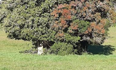 Sitio en Venta en Campo El Melí