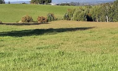 Sitio en Venta en Campo El Melí