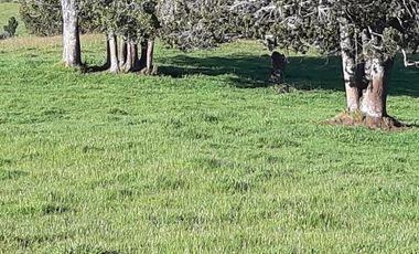 Sitio en Venta en Campo El Melí