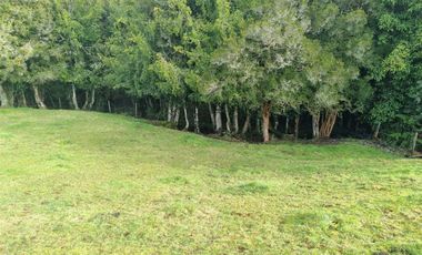 Sitio en Venta en Campo El Melí