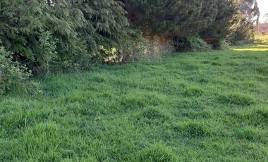 Sitio en Venta en Campo El Melí