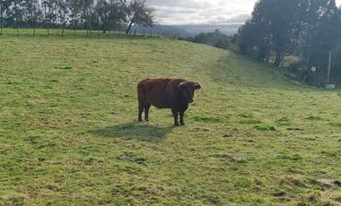 Sitio en Venta en Campo El Melí