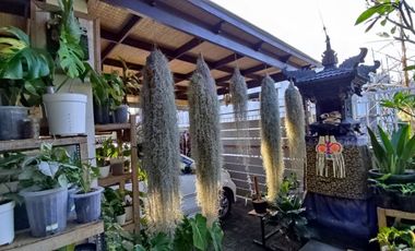 DIJUAL RUMAH SECOND DI UNGASAN HARGA MASIH BISA NEGO