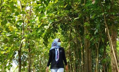 Rumah Minimalis Legalitas Komplit bsa KPR, lokasi strategis.