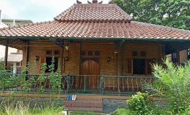 Rumah Asri Rasa Villa Halaman Luas di Beji Pusat Kota Depok 3 M an (donita)