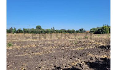 Excelente Terreno cerca ruta 5 Sur Hospital Paine