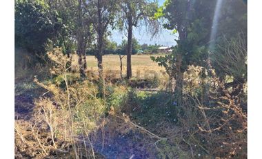 Excelente Terreno cerca ruta 5 Sur Hospital Paine